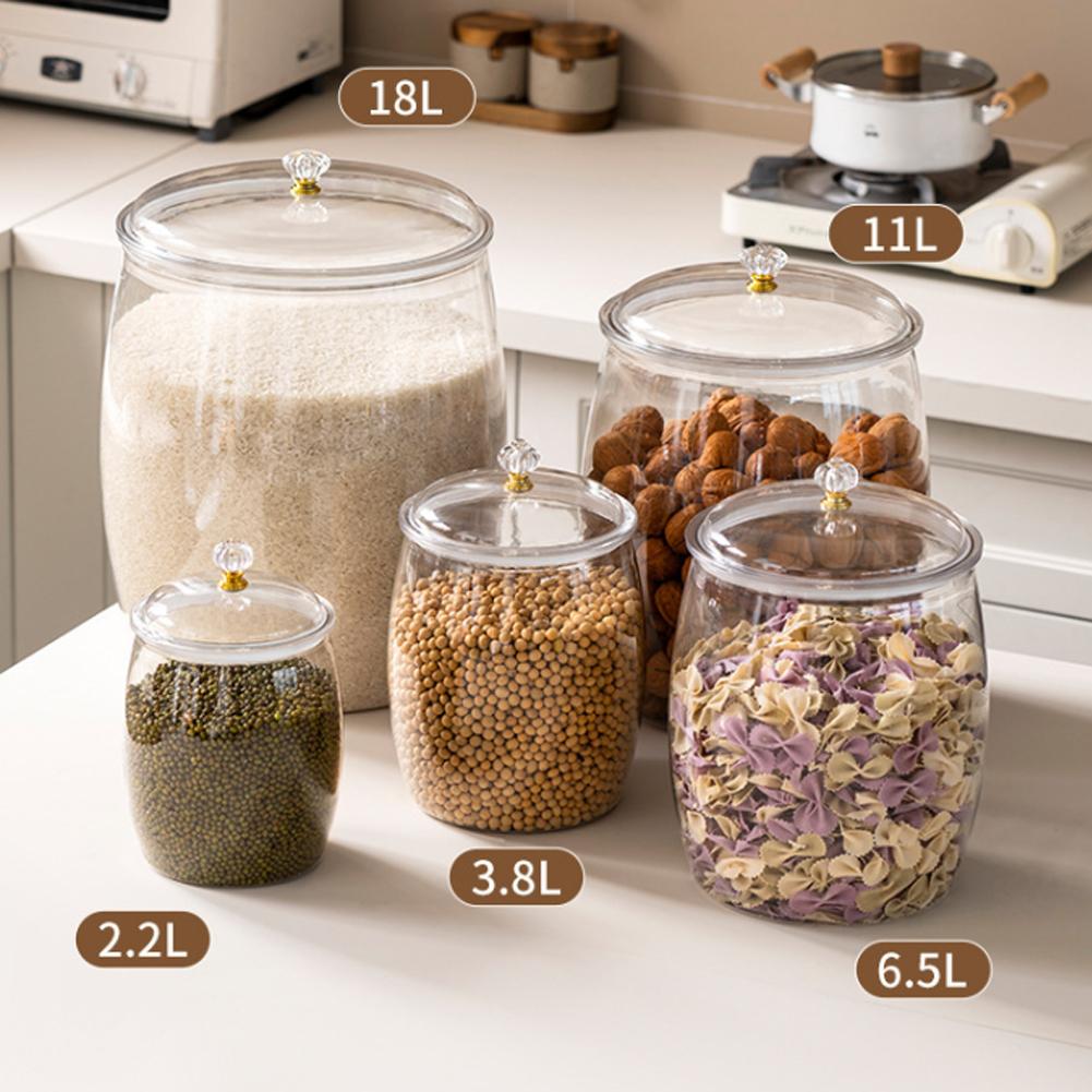 Large Transparent Plastic Seal - đánh giá và giá Food Storage Containers