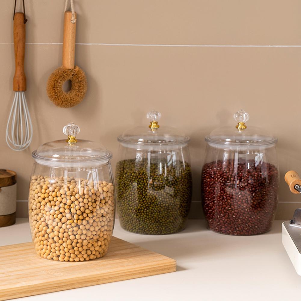 Large Transparent Plastic Seal - đánh giá và giá Food Storage Containers