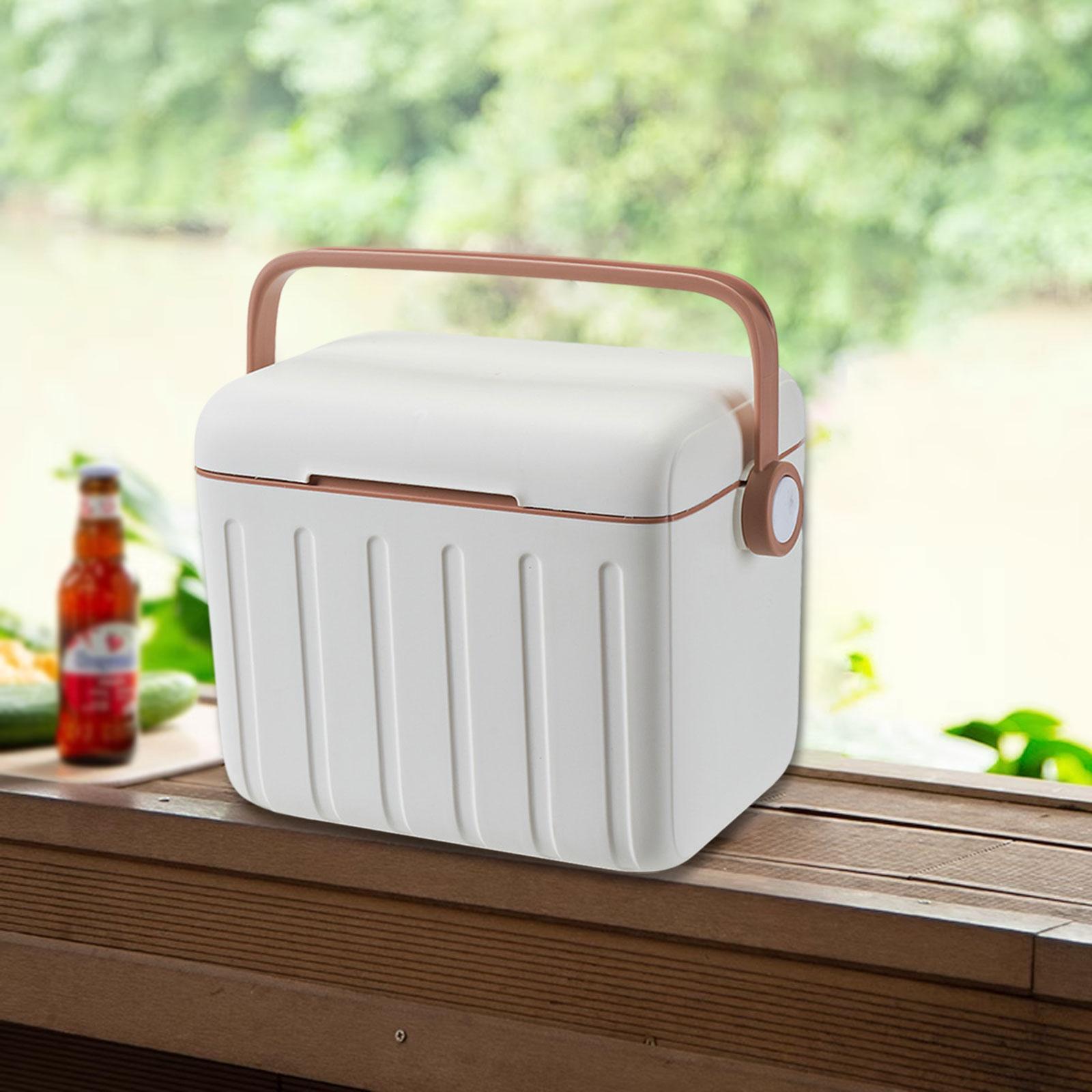 Cooler Box Carrier 6L with Han - đánh giá và giá Food Storage In Cooler